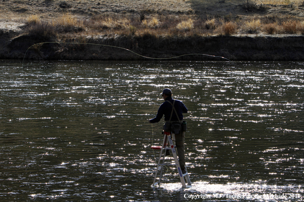 Flyfisherman casting from ladder in middle of river.