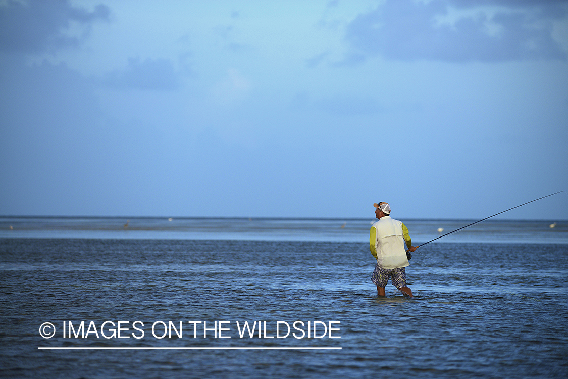 Saltwater flyfisherman casting in flats.