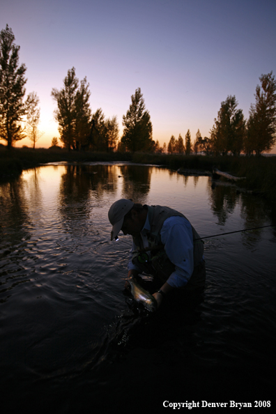 Flyfisherman with Rainbow Trout