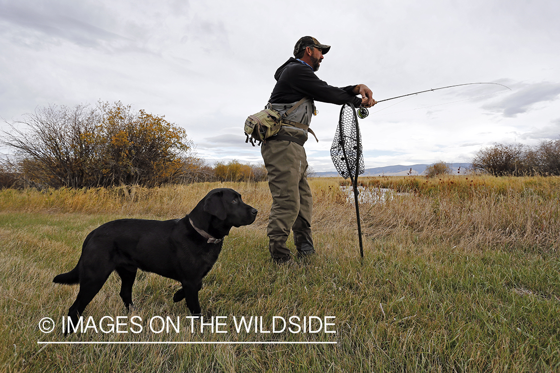 Flyfisherman on river with black lab.