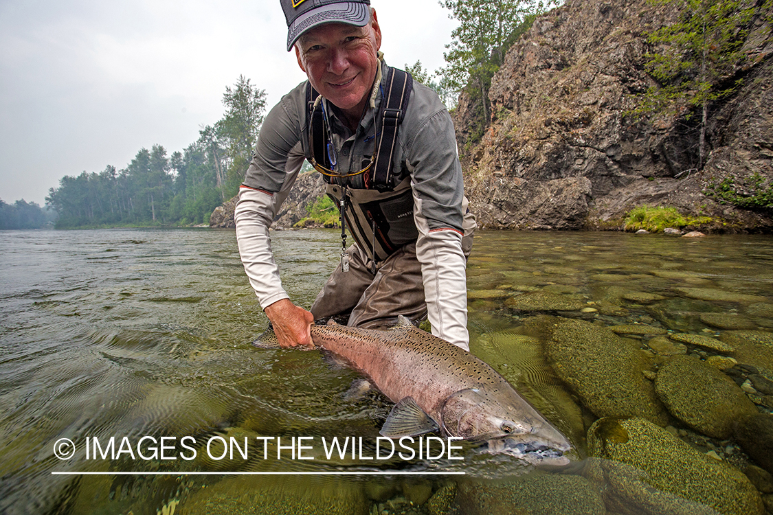 Flyfisherman with king salmon on Nakina River, British Columbia.