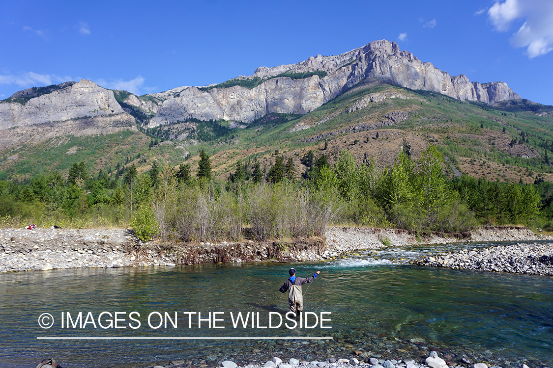 Flyfisherman casting on stream.