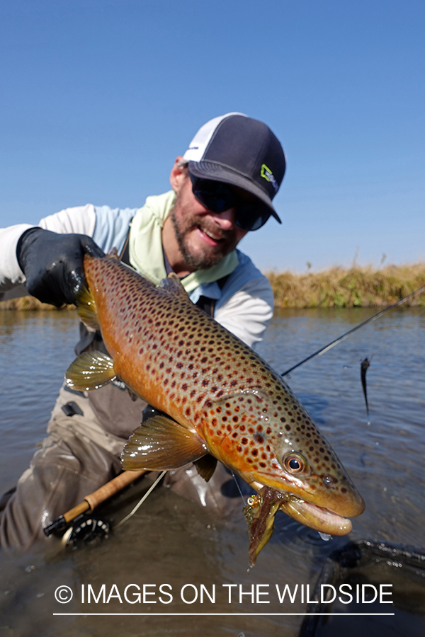 Flyfisherman with brown trout.