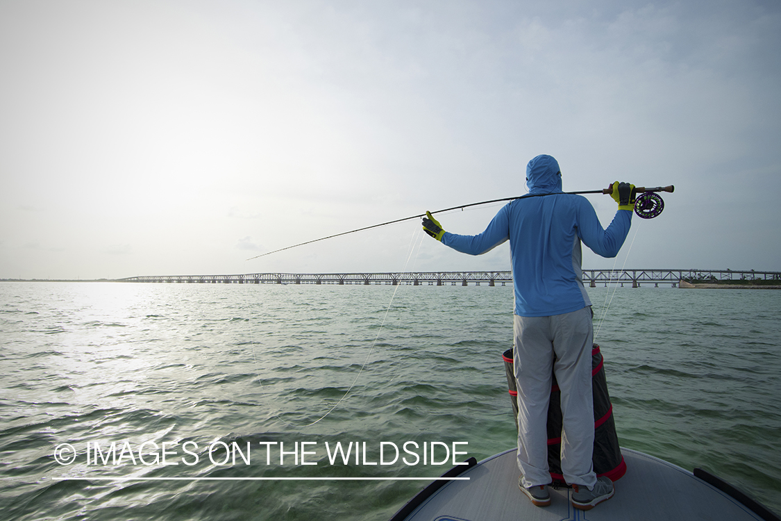 Flyfisherman looking for fish on shallow flat.