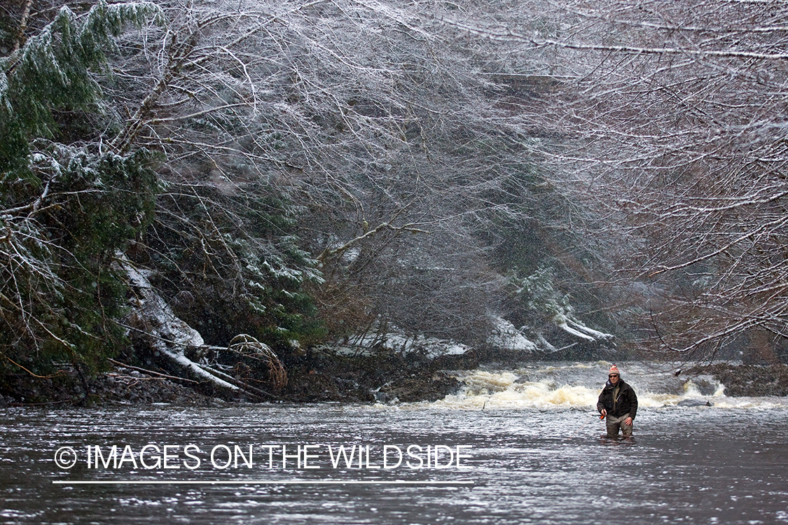 Flyfisherman on river. 