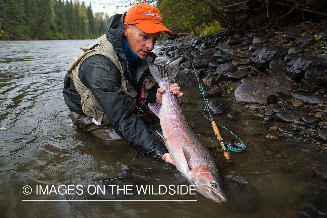 Steelhead fishing