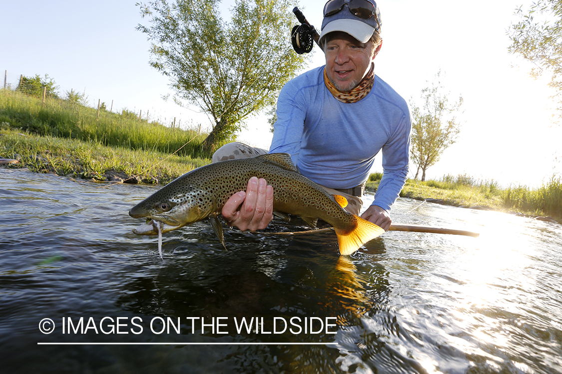 Fisherman with brown trout.