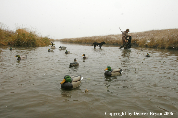 Duck hunting in winter