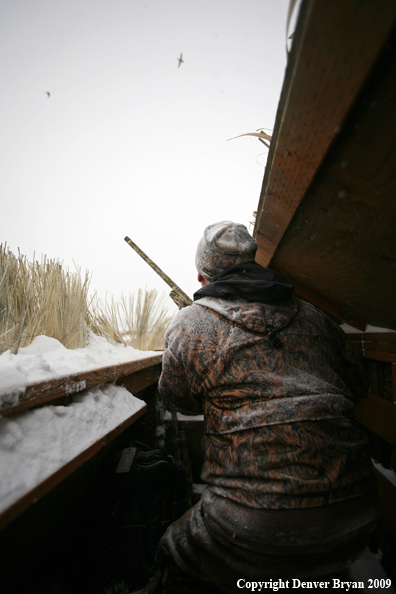 Waterfowl Hunter Aiming 