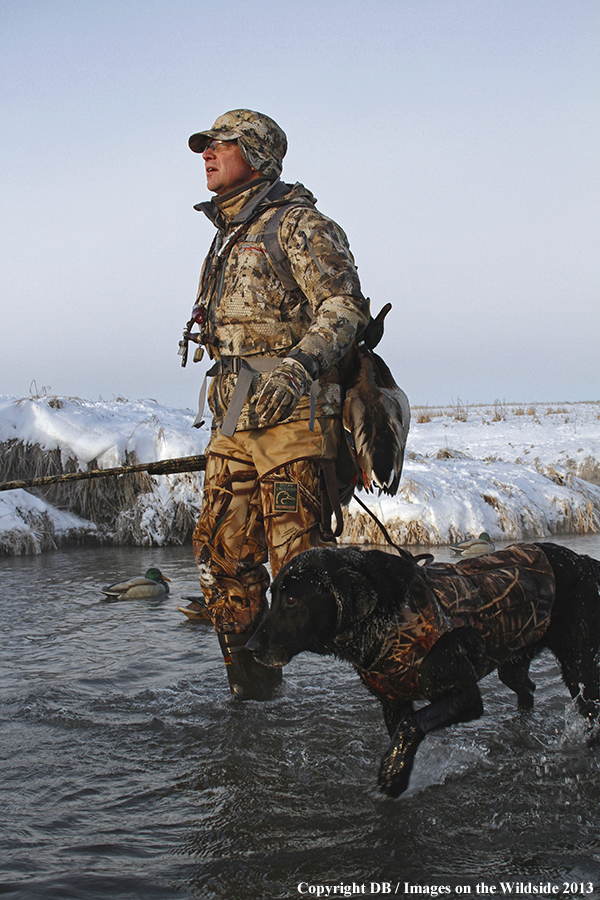 Waterfowl hunter and dog with decoys.