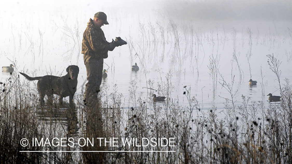 Waterfowl hunter in field with decoys.