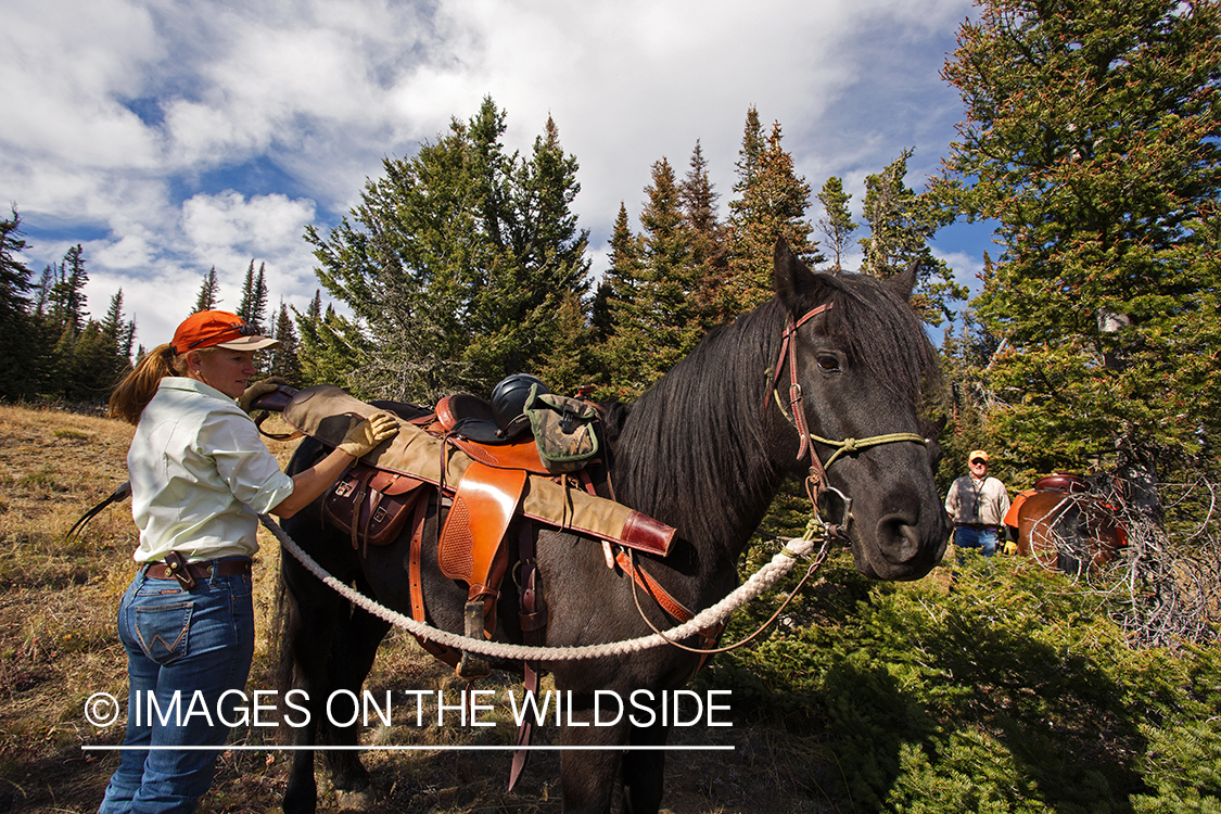 Upland game bird hunters with horses.