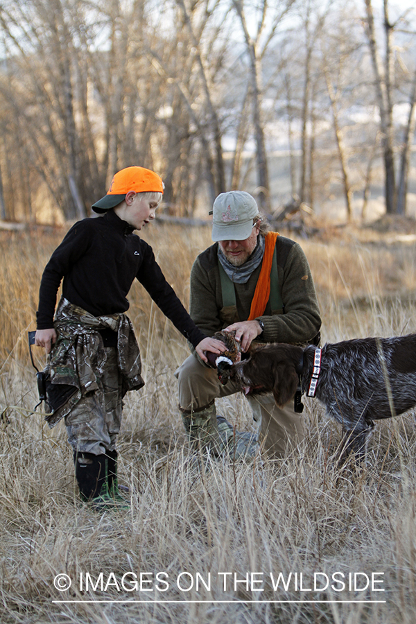 Father and son pheasant hunters with bagged pheasant. 