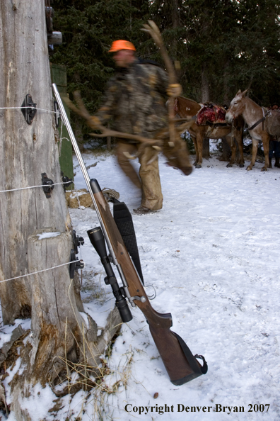 Rifle lain on tree in elk camp