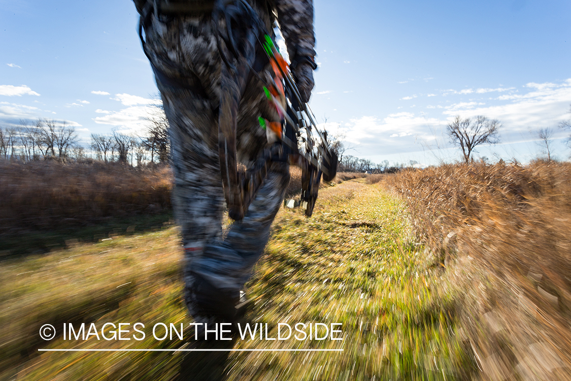 Bow hunter walking in field.