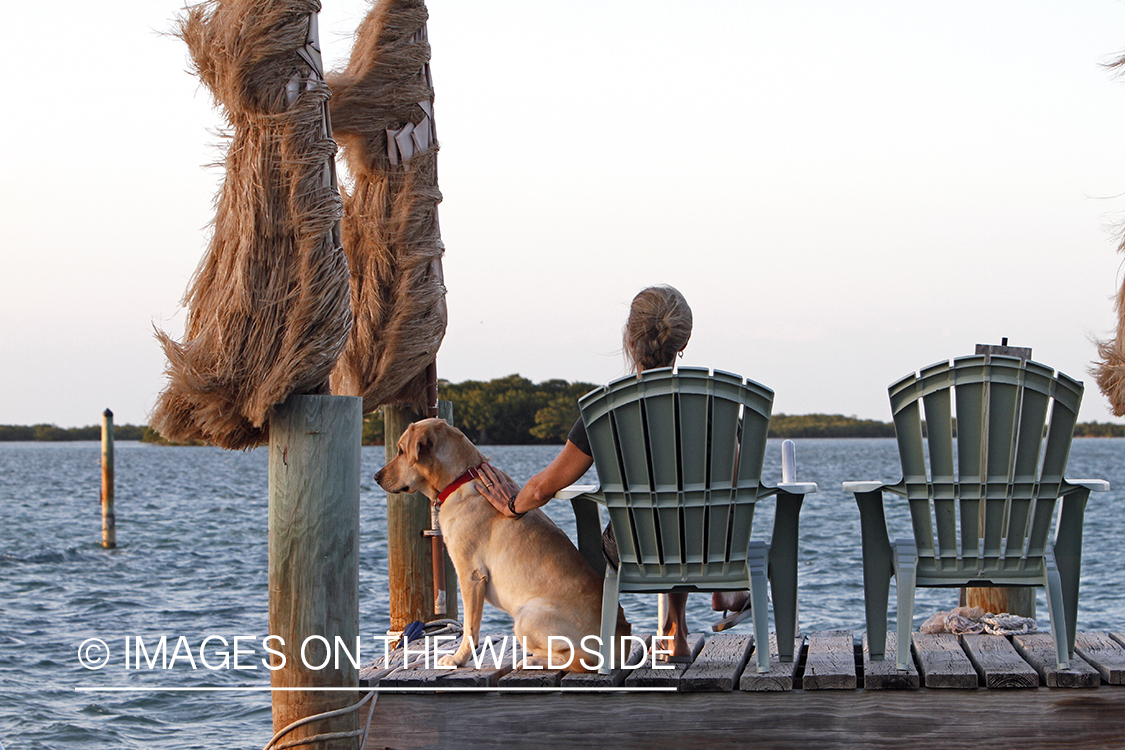 Woman with yellow lab relaxing on dock. 