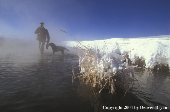 Waterfowl hunter with bagged ducks and black Lab. 