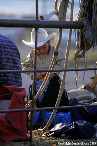 Young cowboy at rodeo