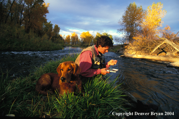 Flyfisherman choosing flies with Golden retriver.