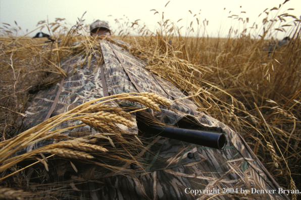 Waterfowl hunter in goose blind.