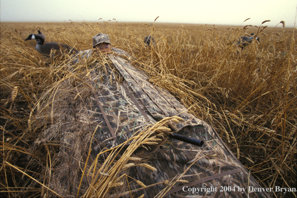 Waterfowl hunter in goose blind.