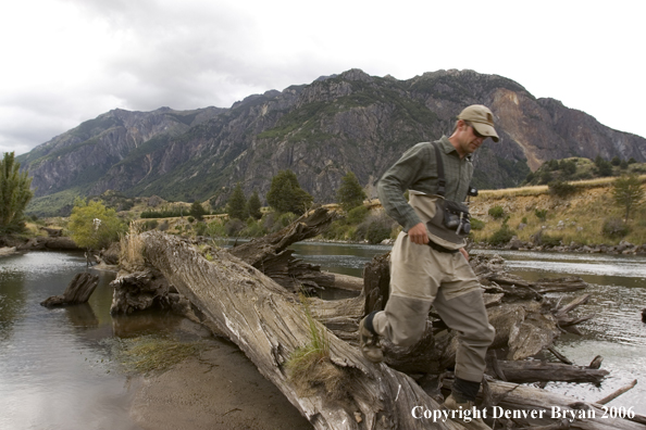 Flyfisherman scouting river from log on bank.