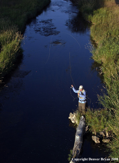 Flyfisherman fishing stream