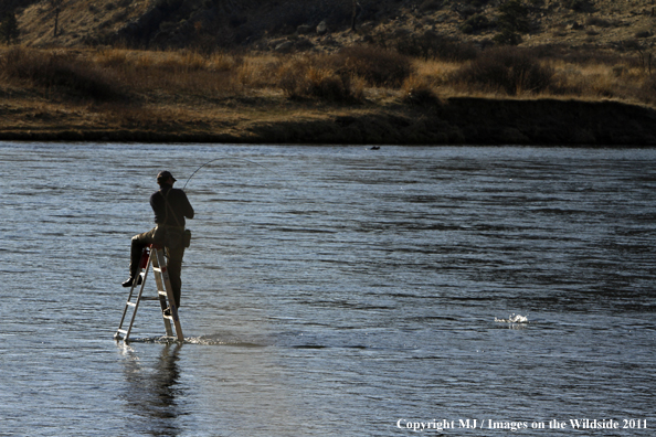 Flyfisherman fighting rainbow trout from ladder in middle of river.