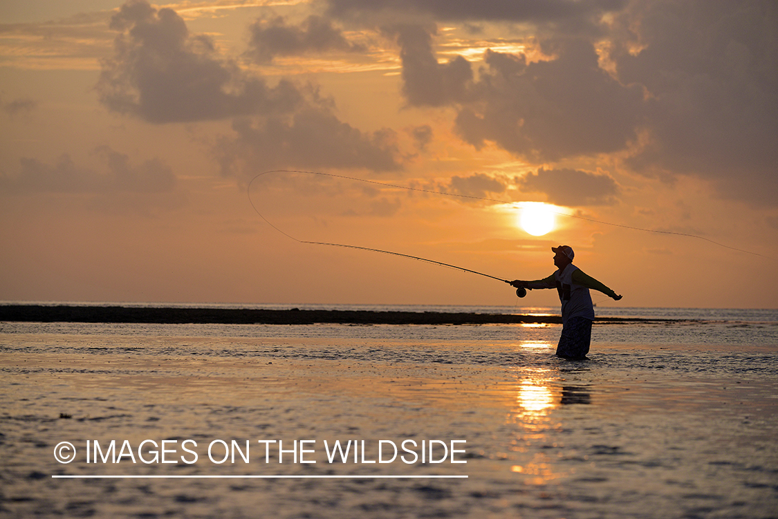 Saltwater flyfisherman casting in flats.