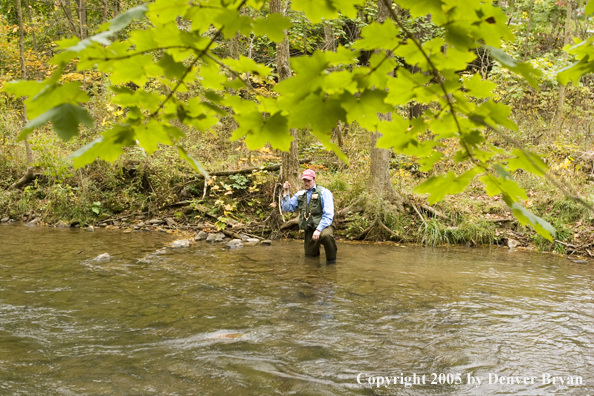 Flyfisherman playing on a Pennsylvania spring creek.