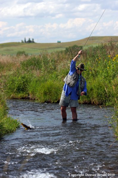 Flyfisherman landing rainbow trout