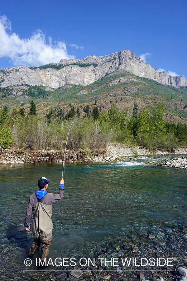 Flyfisherman casting on stream.