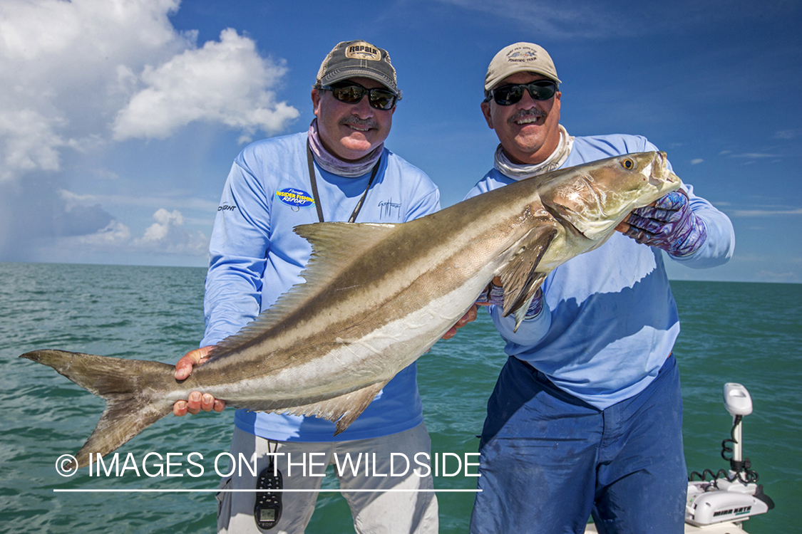 Flyfisherman with Cobia.