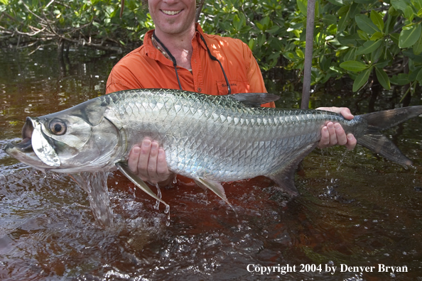 Flyfisherman w/tarpon 