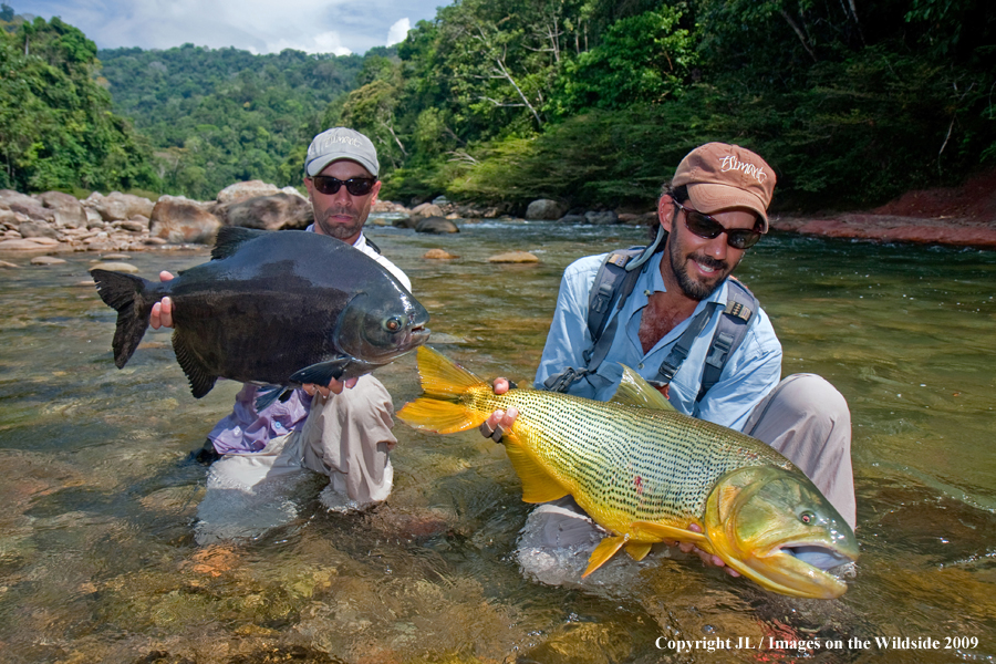 Flyfishermen with a pacu and golden dorado