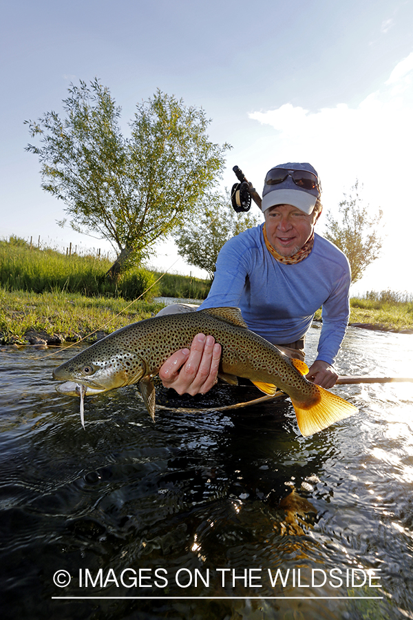 Fisherman with brown trout.