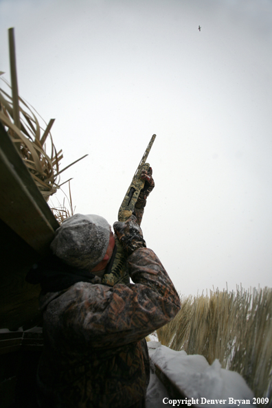 Waterfowl Hunter Aiming