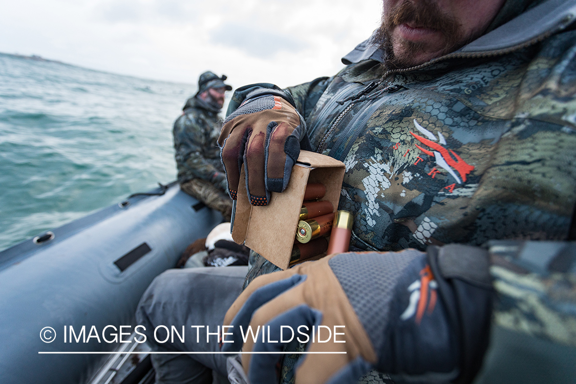 King Eider and Long-tailed duck hunting in Alaska, hunter getting ammo.