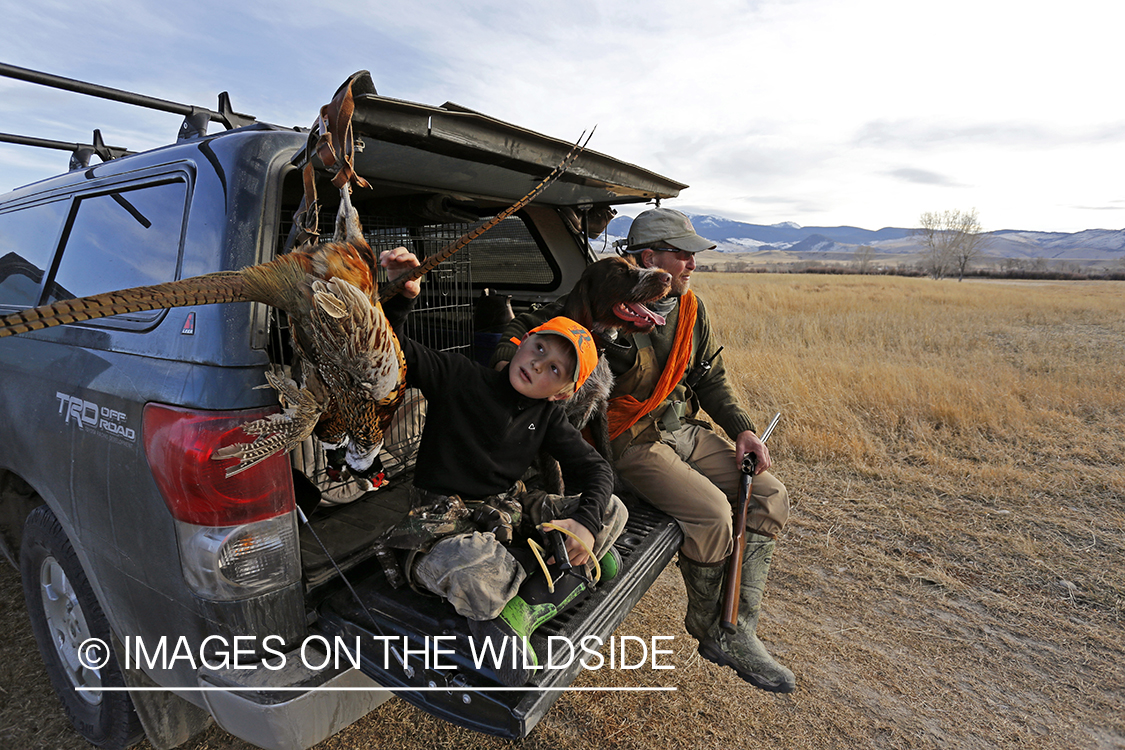 Father and son pheasant hunters with bagged pheasant. 