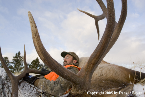 Elk hunter resting upon downed elk.