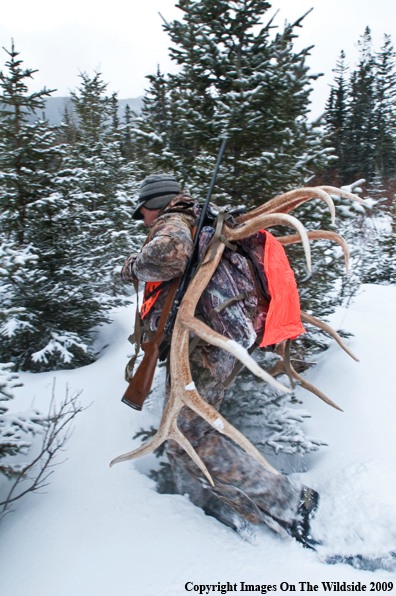 Hunter with elk rack