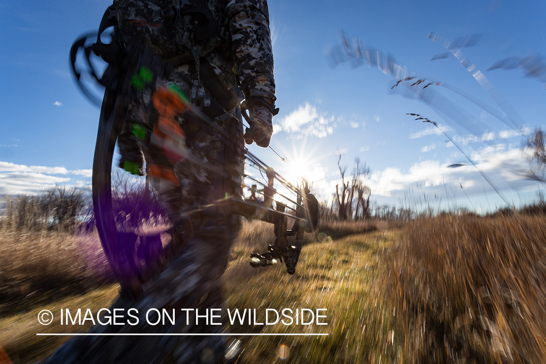 Bow hunter walking in field.