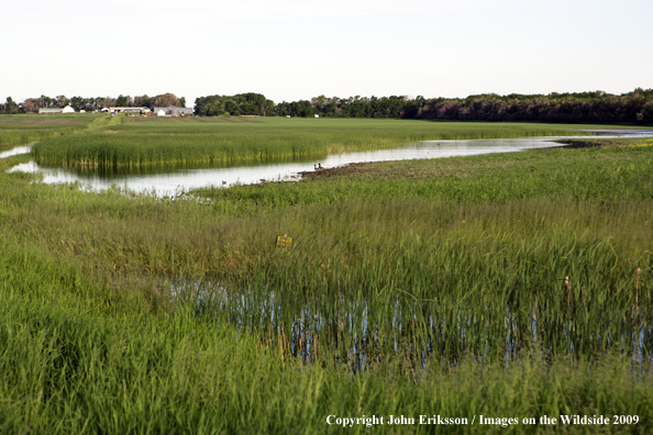 Wetlands on National Wildlife Refuge