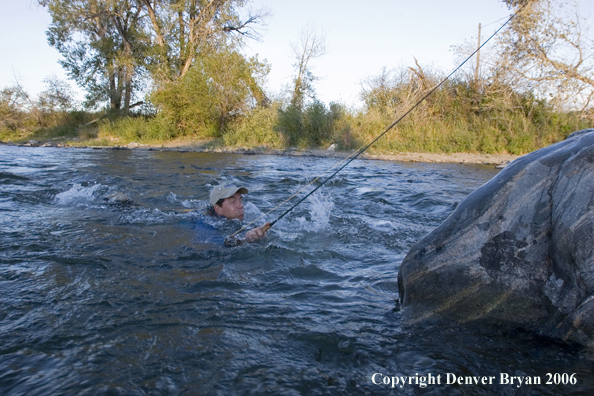 Flyfisherman swimming in the river with waders full of water.  