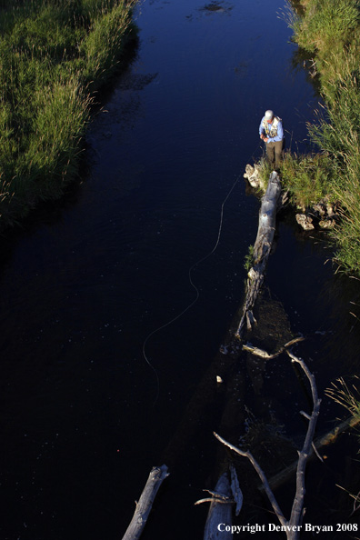 Flyfisherman fishing stream