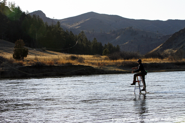 Flyfisherman casting from ladder in middle of river.