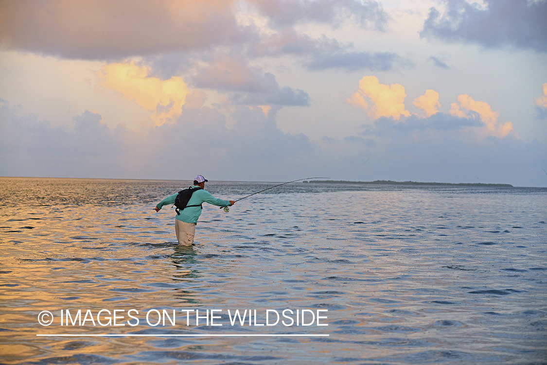 Saltwater flyfisherman casting in flats.