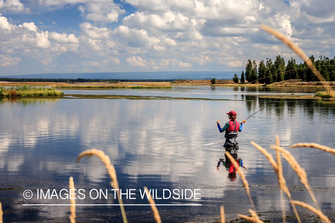 Woman flyfisherman casting on Henry's Fork River, Idaho.