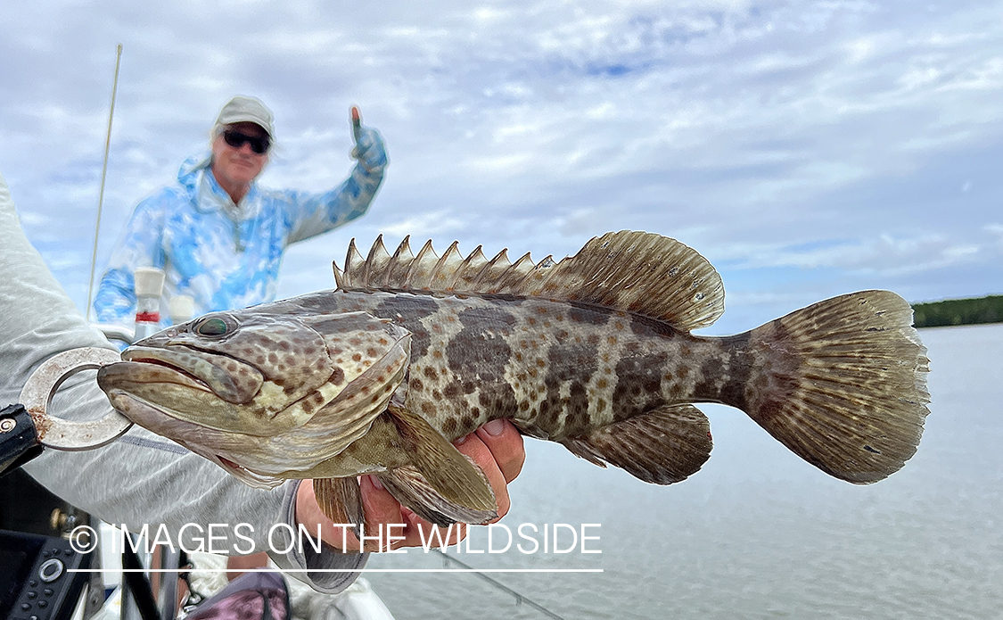 Flyfisherman with unknown species saltwater fish.