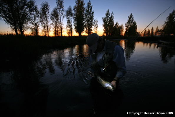 Flyfisherman with Rainbow Trout